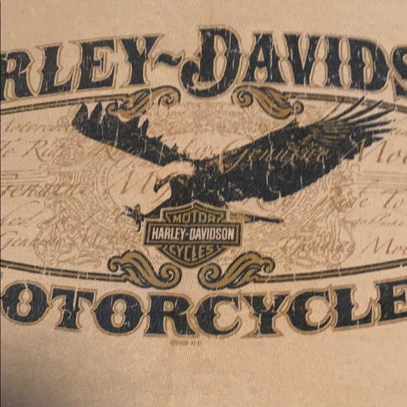 Harley - Picture 2 of 5